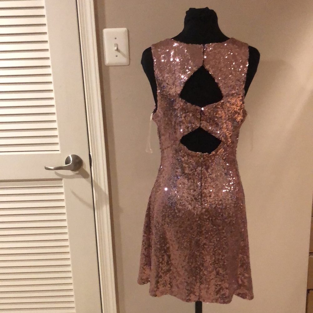 Sleeveless Rose Gold Embroidered Dress (Size 16) main image 1